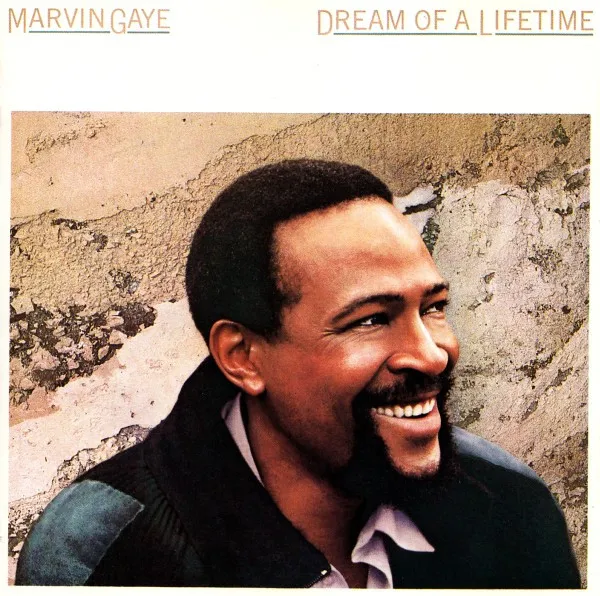 Dream Of A Lifetime