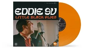 Little Black Flies