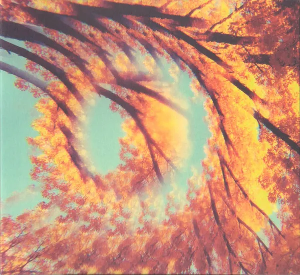 Forest Bathing