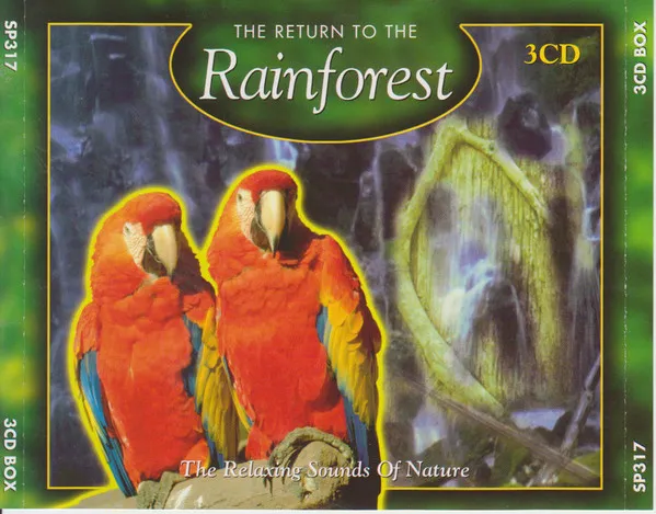 The Return Of The Rainforest