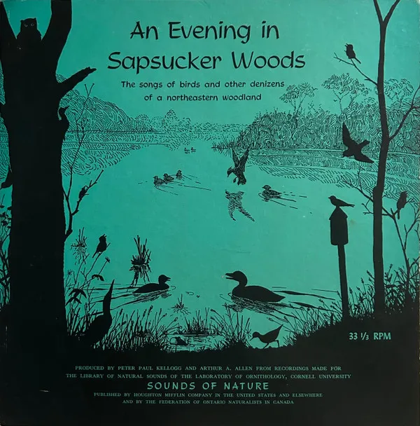 An Evening In Sapsucker Woods