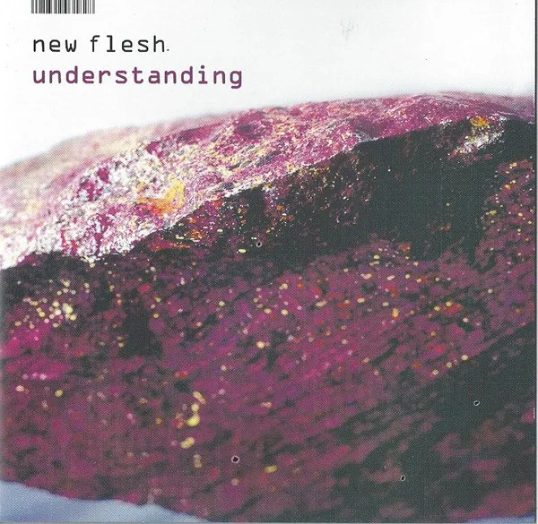 UNDERSTANDING