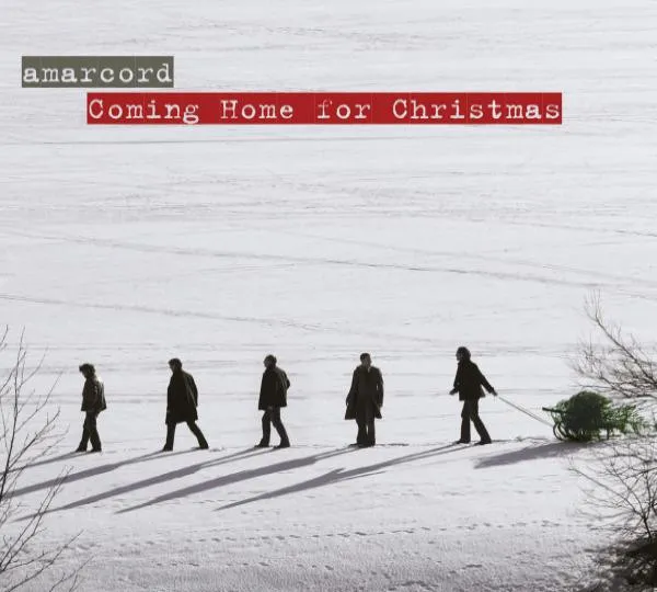 Coming Home For Christmas