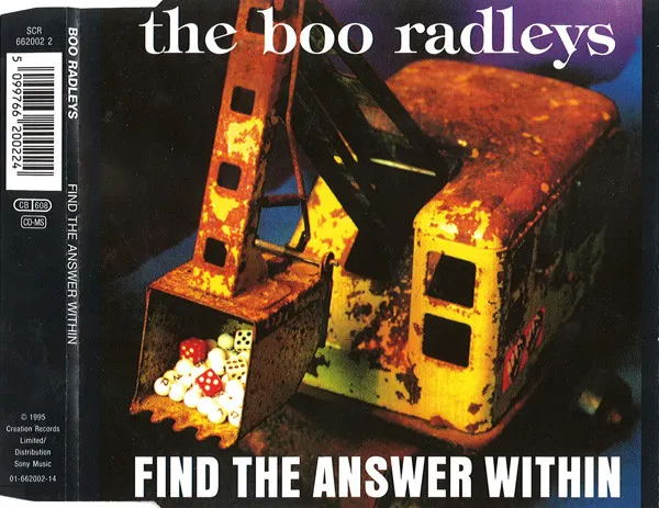 Find The Answer Within
