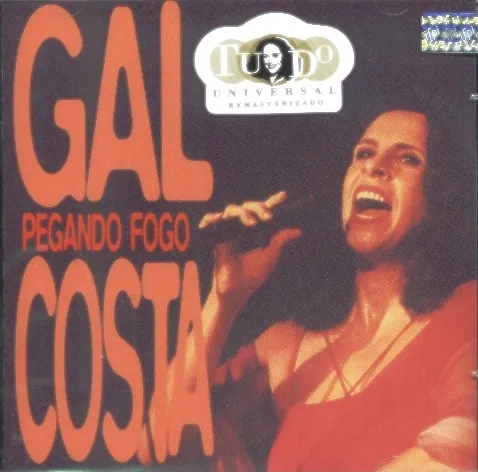 Pegando Fogo