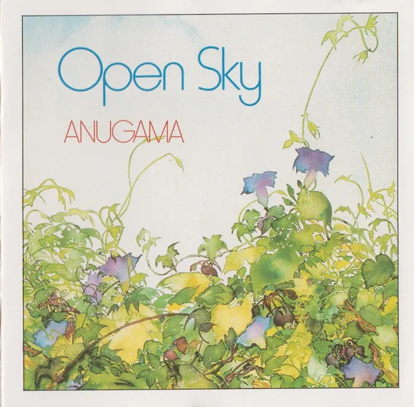 Open Sky