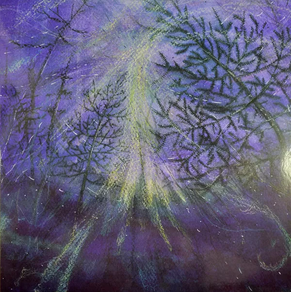 Forest Storm