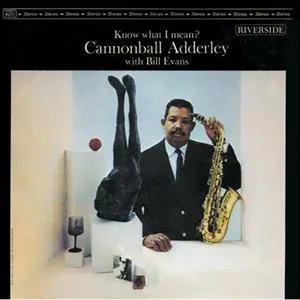 Know What I Mean? (180g) (Limited Edition) (45 RPM)