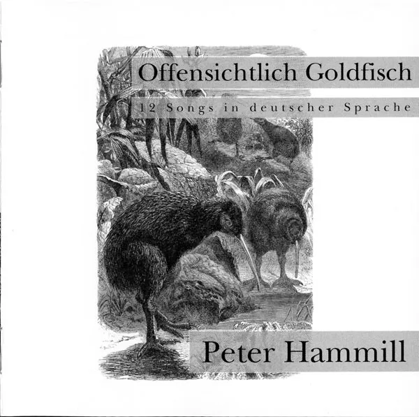 Offensichtlich Goldfisch