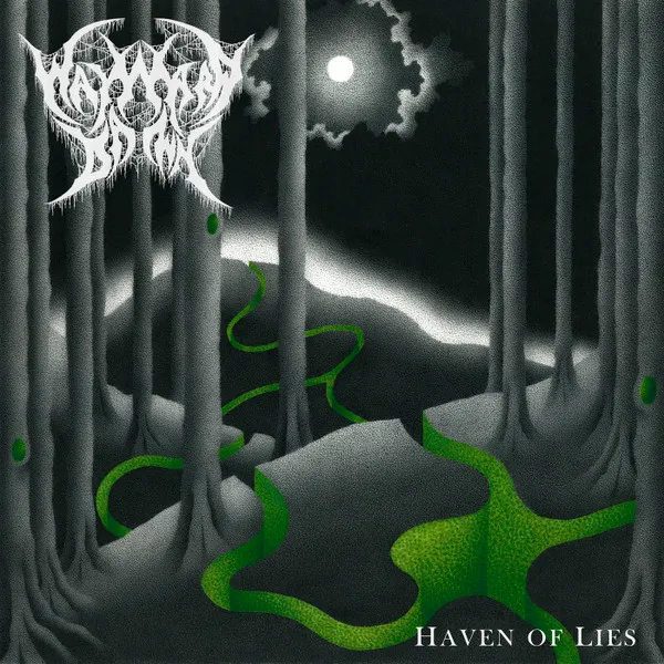 HAVEN OF LIES