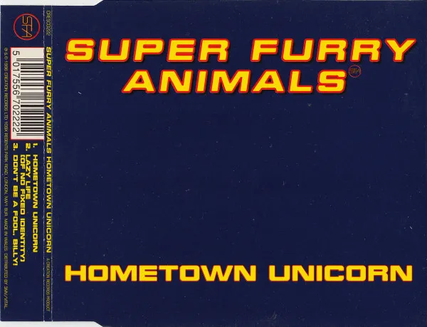 Hometown Unicorn