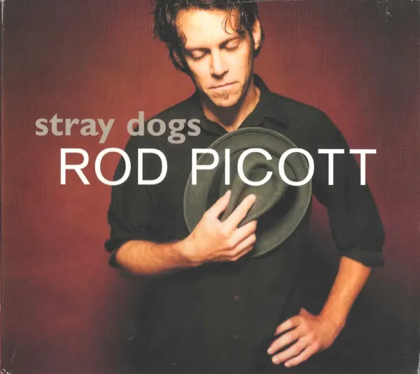 Stray Dogs