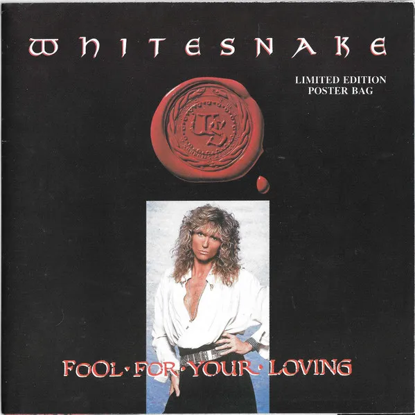 Fool For Your Loving