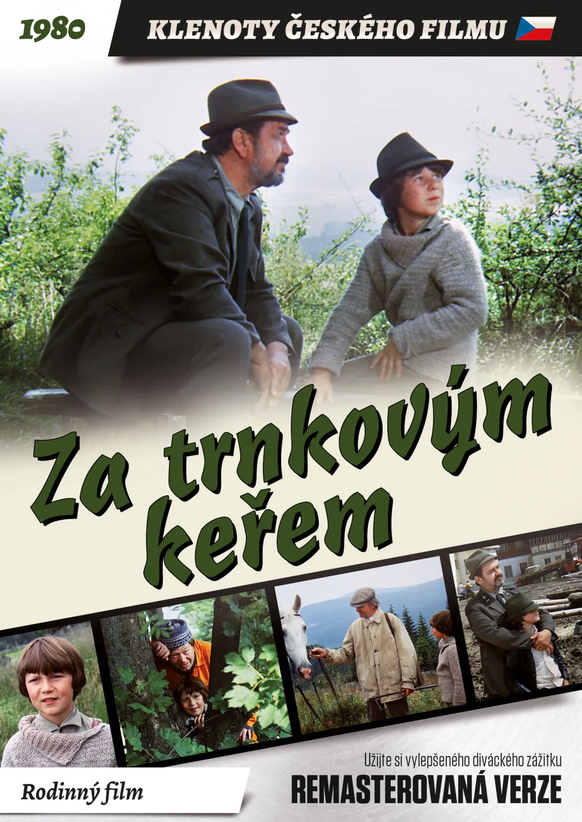 Za trnkovým keřem