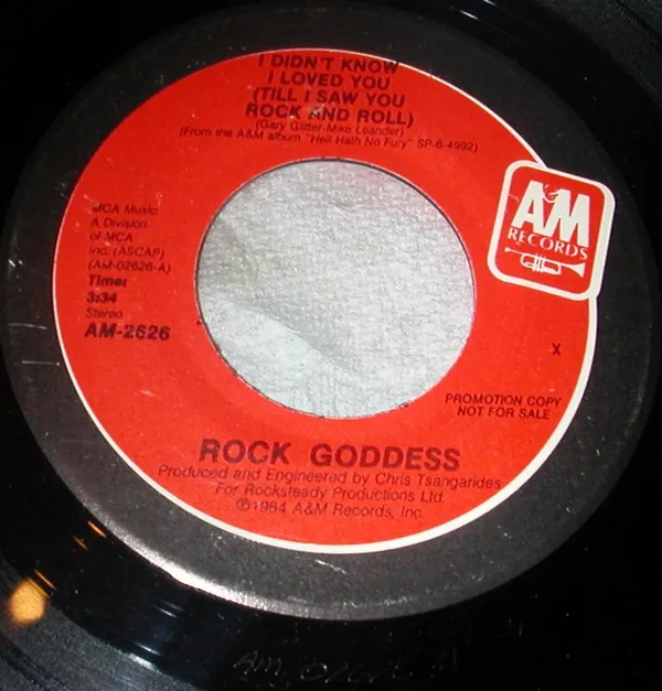 I Didn't Know I Loved You (Till I Saw You Rock And Roll)