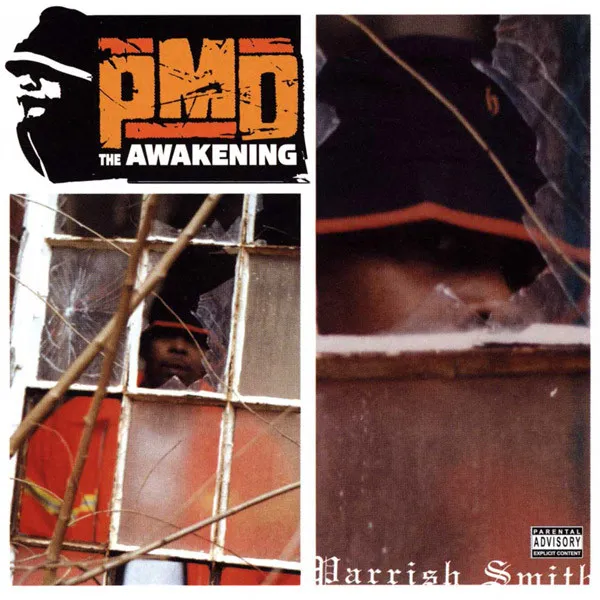 The Awakening