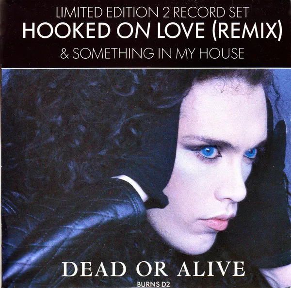 Hooked On Love (Remix)
