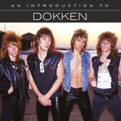 An Introduction To Dokken
