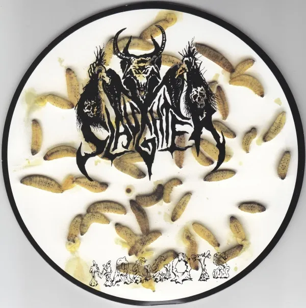 Maggots