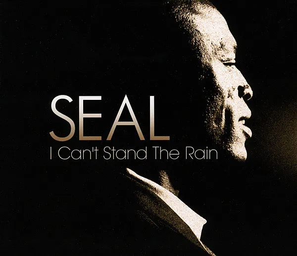 I Can't Stand The Rain