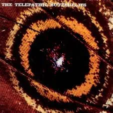Songs From A Second Wave