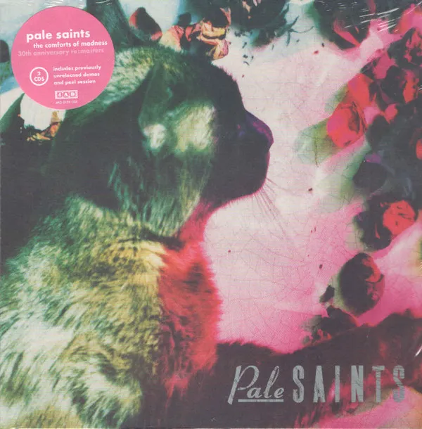 Pale Saints