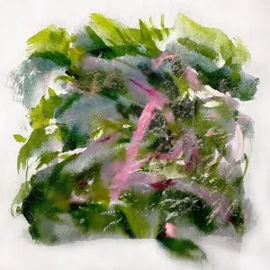 Mizu