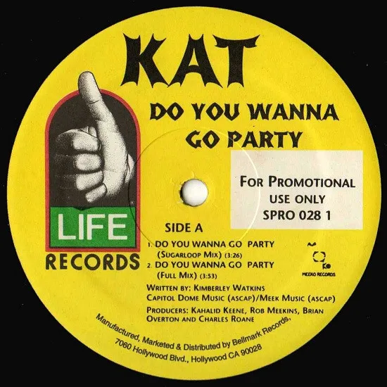 Do You Wanna Go Party