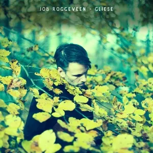 Roggeveen, Job