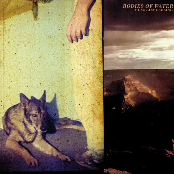 Bodies Of Water