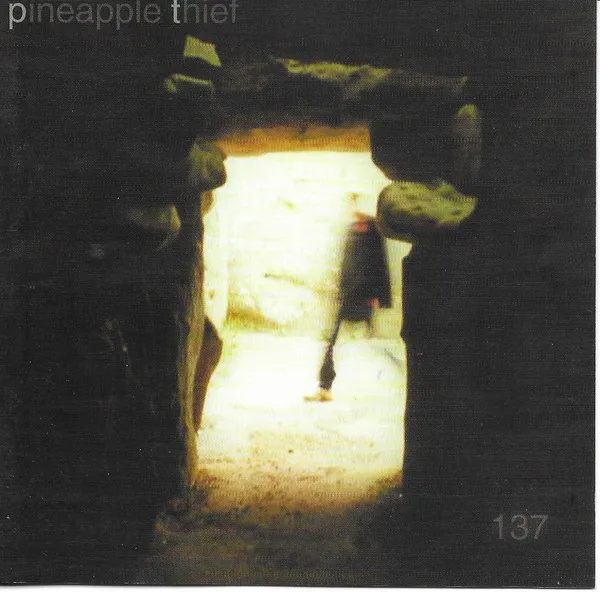 The Pineapple Thief