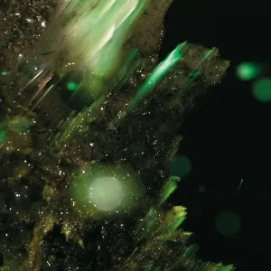 Idsungwussa