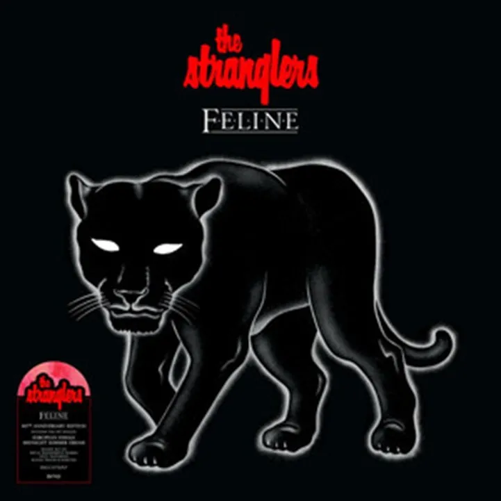 Feline