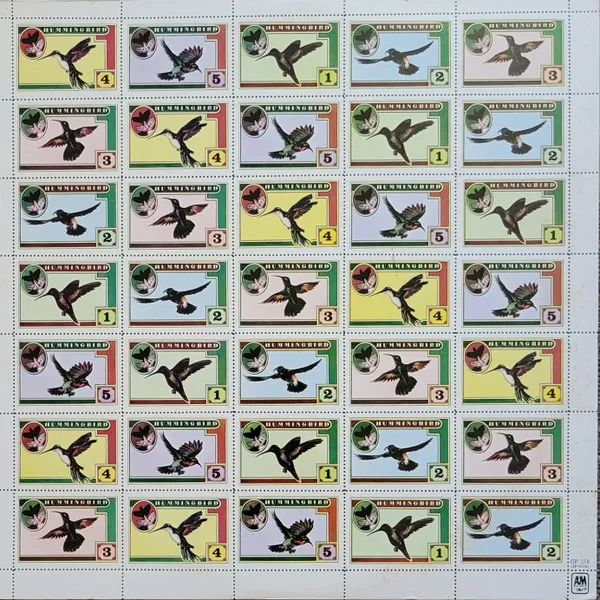 Hummingbird