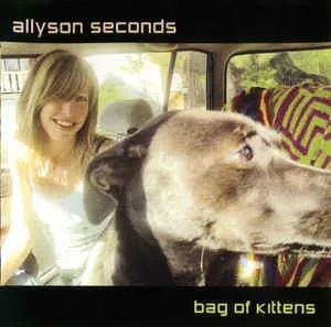 Bag Of Kittens