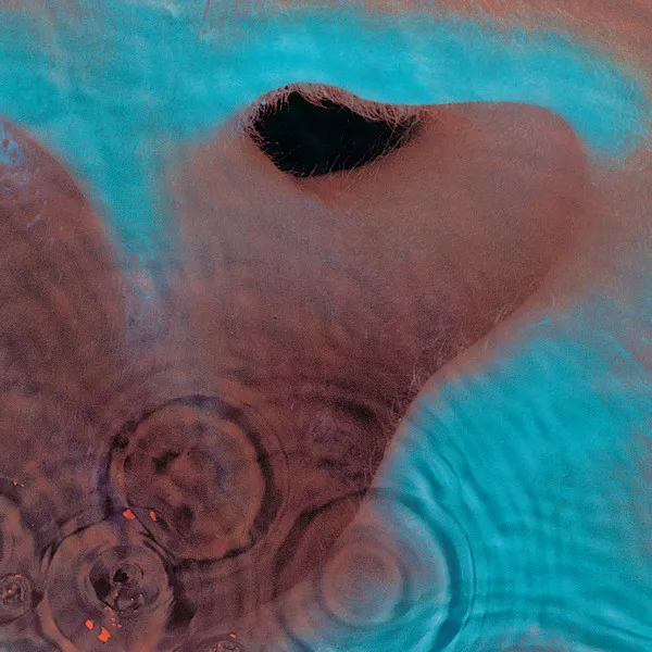 MEDDLE (2011)