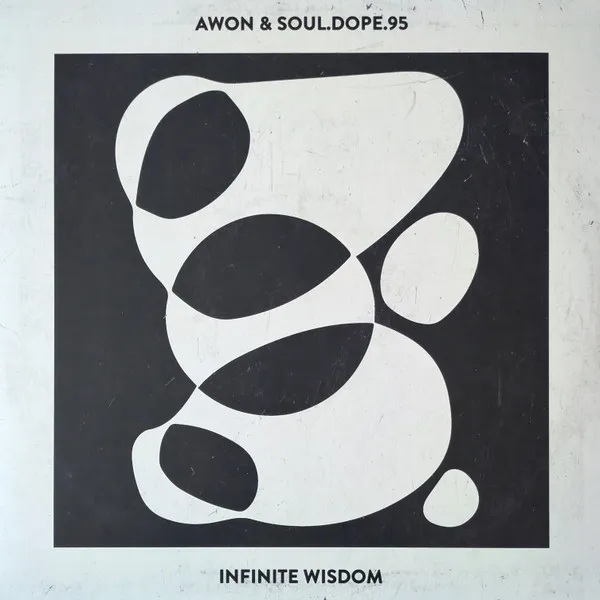 Infinite Wisdom