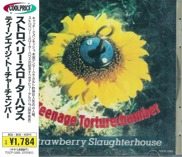 Teenage Torturechamber