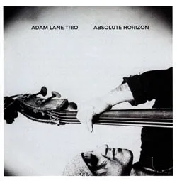 Absolute Horizon