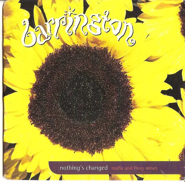 Nothing's Changed (Mafia And Fluxy Mixes)