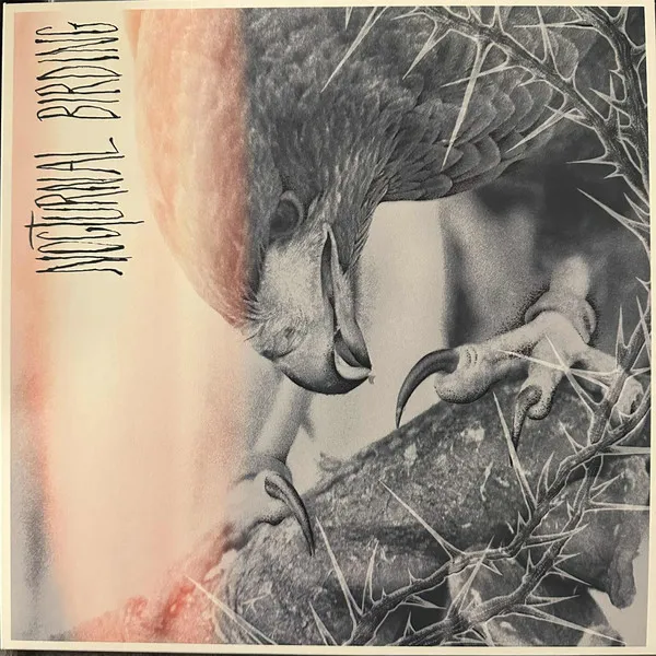 Nocturnal Birding (Custom Merge Vinyl)