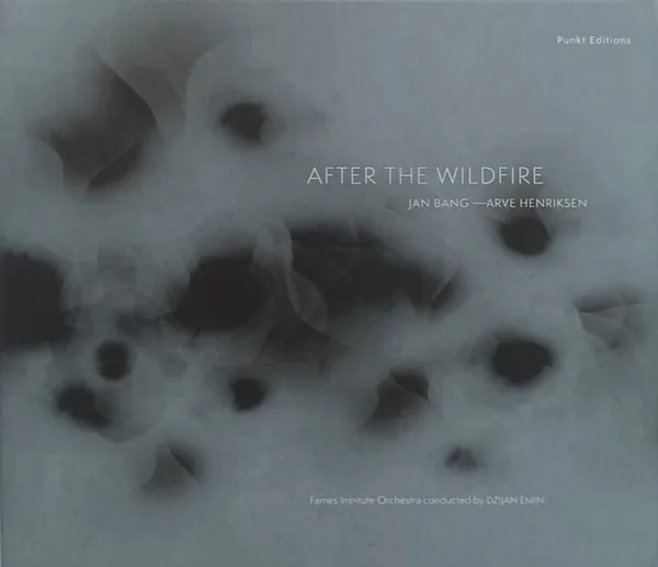 After The Wildfire