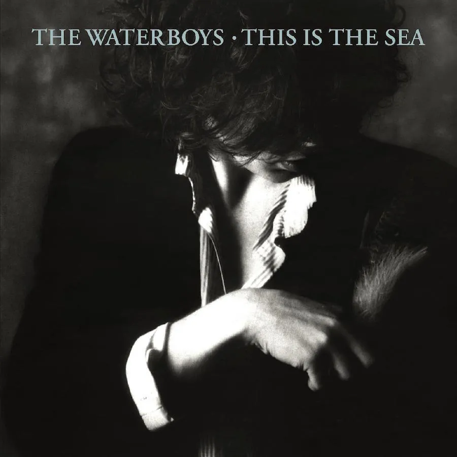 This Is The Sea (Collector's Edition)