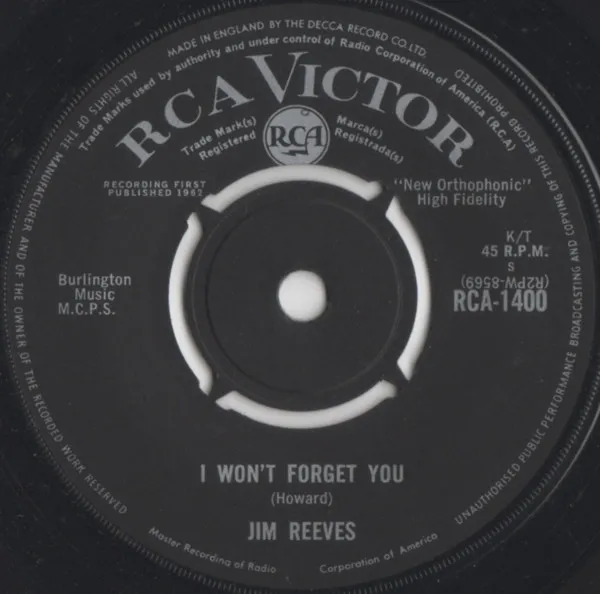 I Won't Forget You