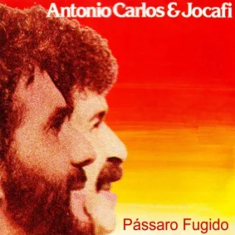 Pássaro Fugido