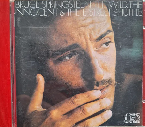 The Wild, The Innocent And The E Street Shuffle
