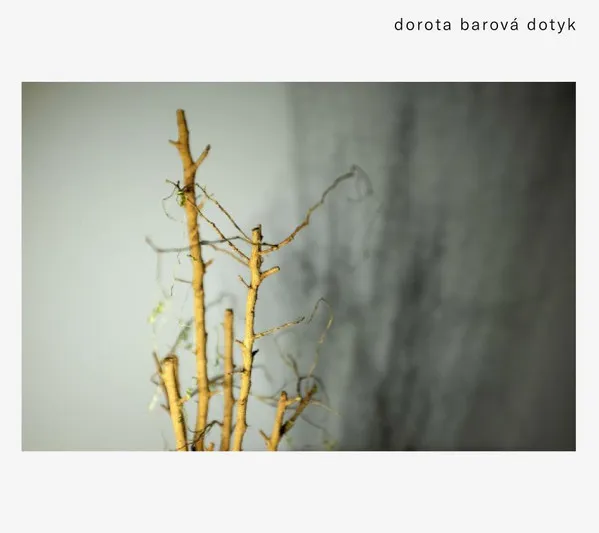 Dotyk