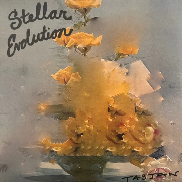 Stellar Evolution