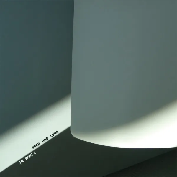 Im Remix (P. Kruder / M.Jonson / In Flagranti)