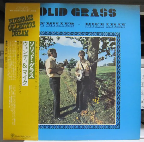 Solid Grass